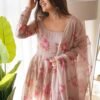 NKB-17_3.jpg Elegant Beige Tabby Organza Floral Print Gown with Dupatta