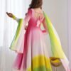 Stunning Multi-Color Fox Georgette Anarkali Suit